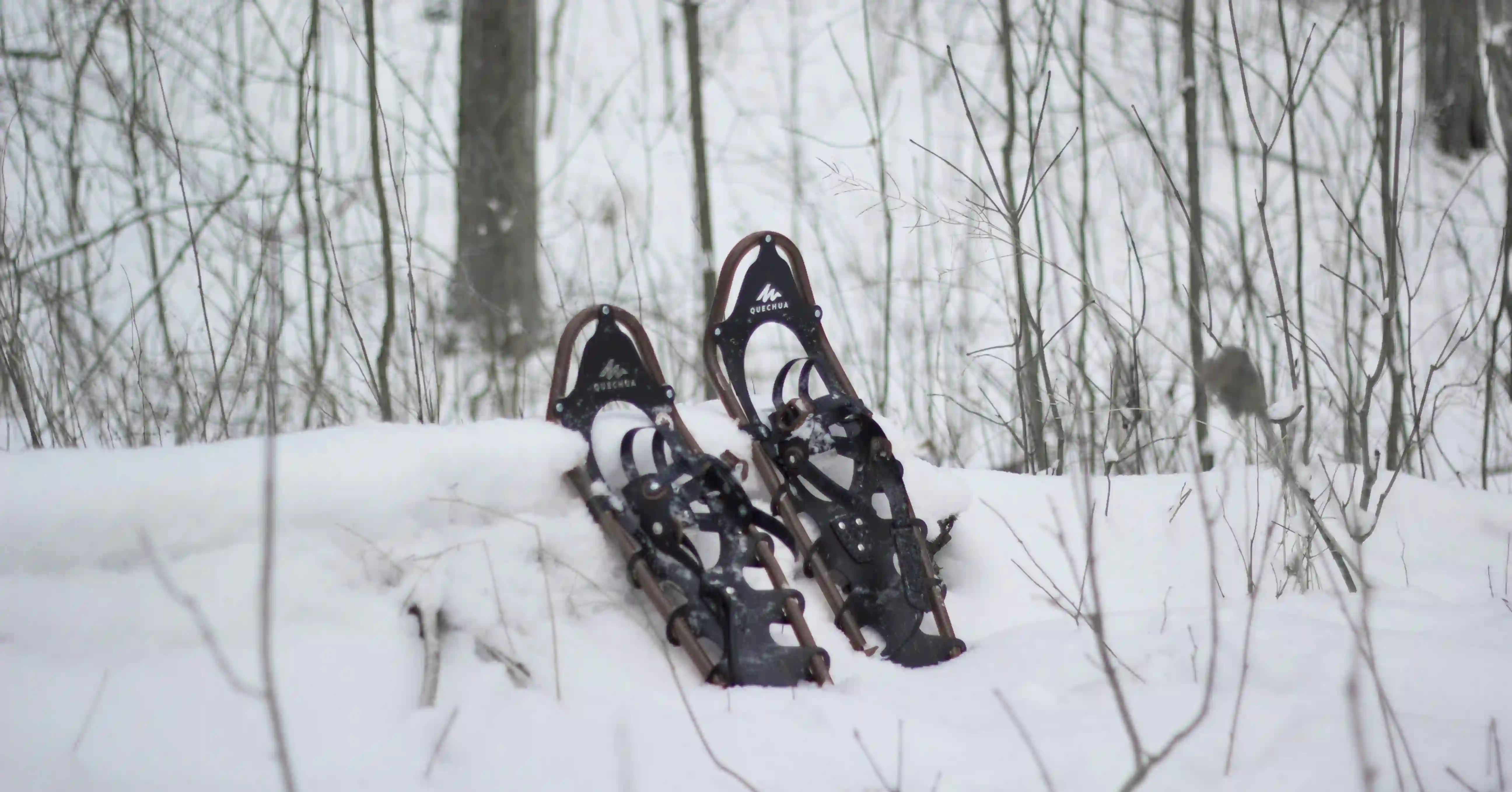 Snowshoeing in Sutton, Québec: 3 Scenic Winter Trails to Explore